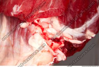 Photo Textures of RAW Beef Meat